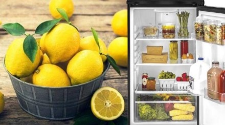 tips how to keep lemon fresh for long time is it safe to store in fridge