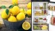 tips how to keep lemon fresh for long time is it safe to store in fridge