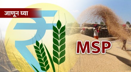 What is the MSP that is the root of the farmers' movement?