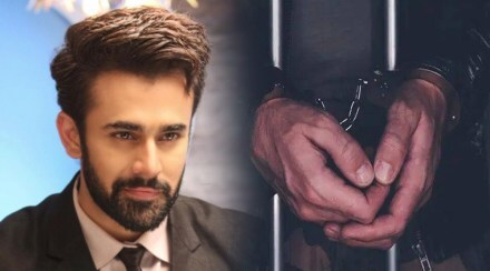 pearl-v-puri-nagin-fame-actor-arrested