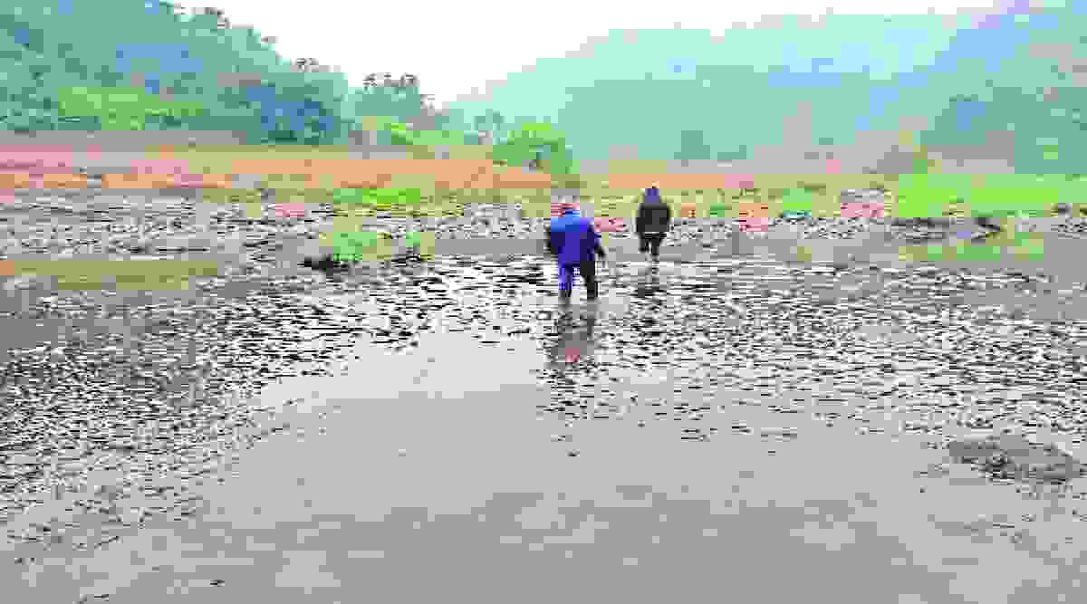 कोल्हेधवपाडा सुविधांपासून वंचित