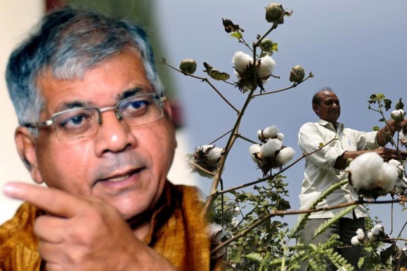 prakash ambedkar on cotton farming