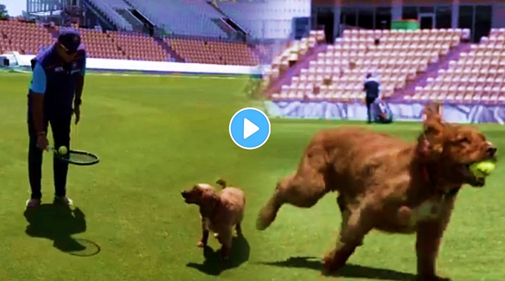 Team india coach ravi shastri gives fielding classes to a dog in southampton watch video