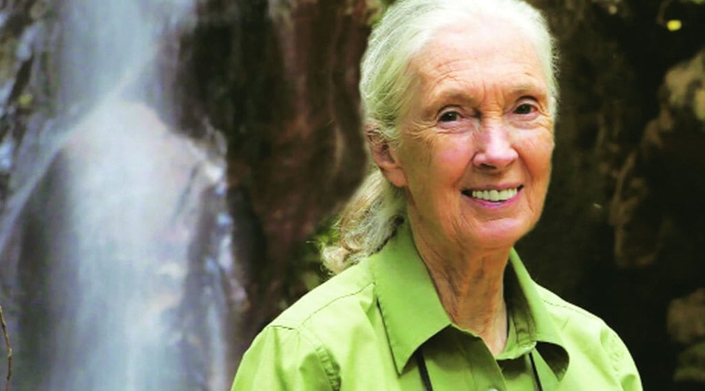 Jane Goodall