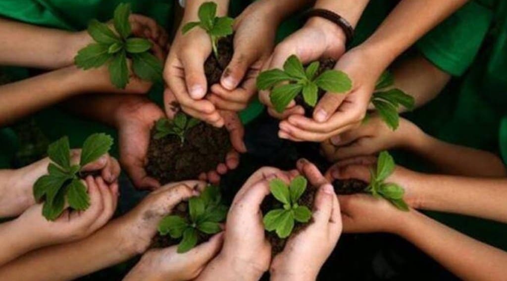 झाडे लावा… झाडे जगवा… अधिक मार्क मिळवा; या राज्याने विद्यार्थ्यांसाठी सुरु केली अनोखी मोहीम