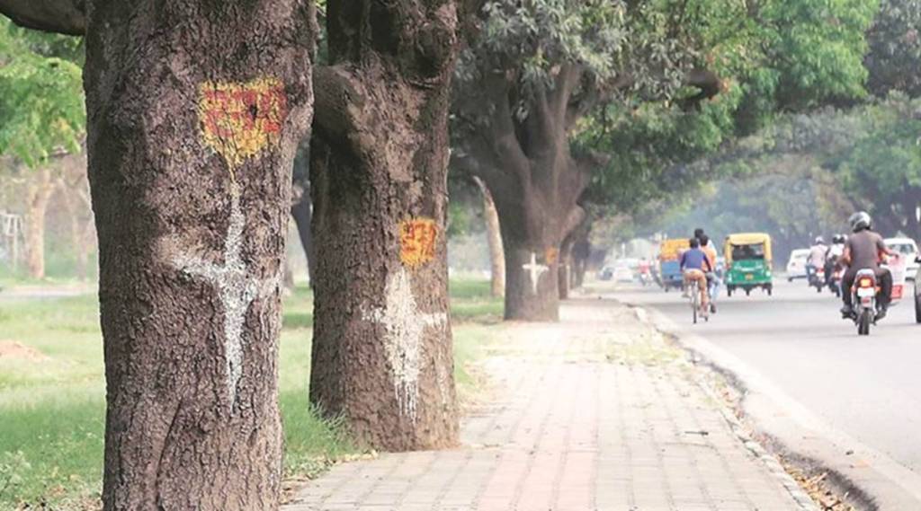 'Heritage Tree' concept to be implemented in the state