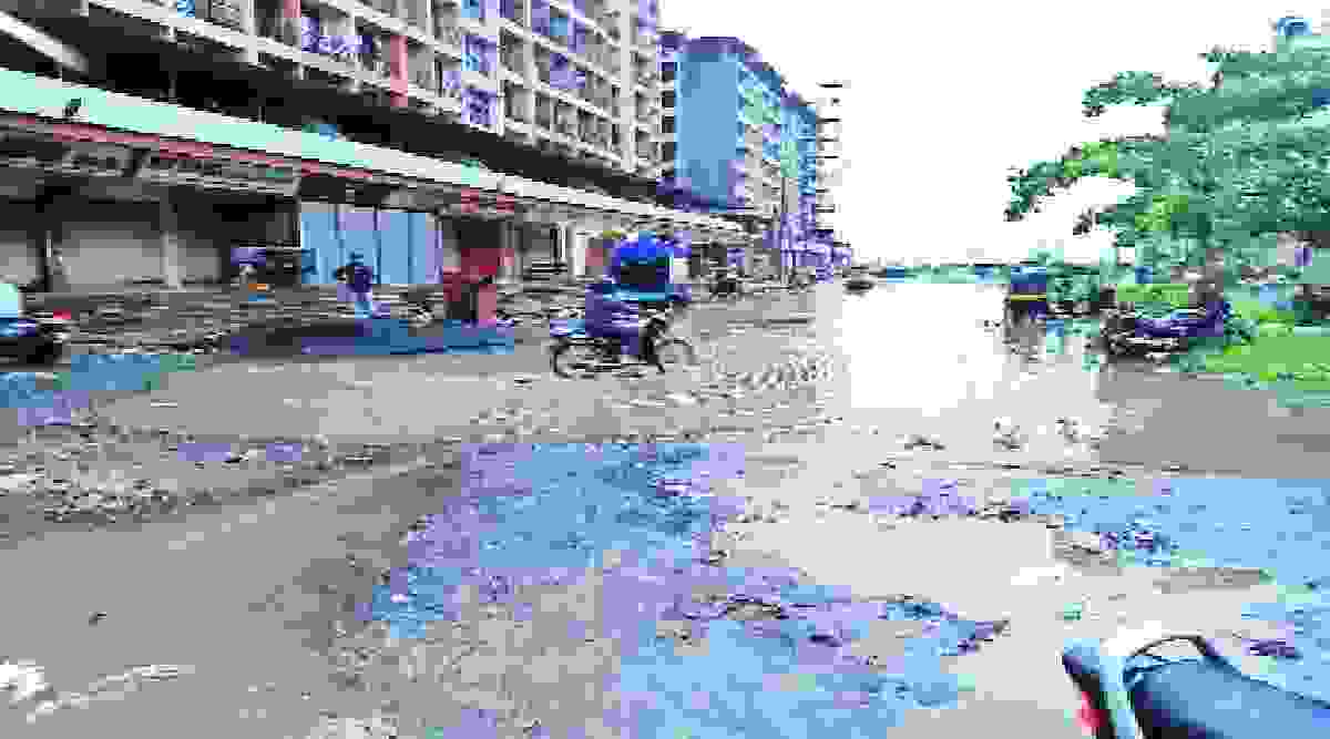 साचलेल्या पाण्यातून पायवाट