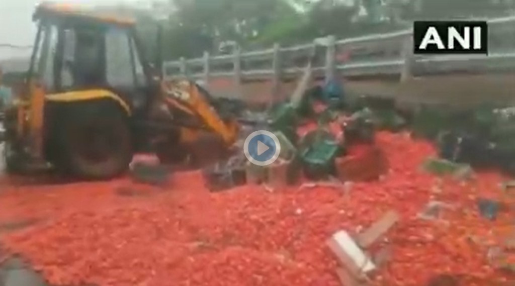 20 tonnes of tomatoes