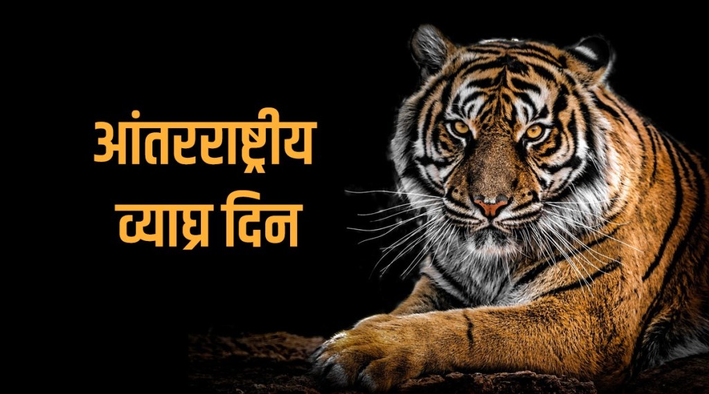 International Tiger Day 2021