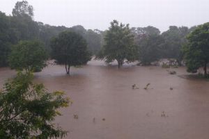 Monsoon, NDRF, Pune, Kolhapur flood like situation