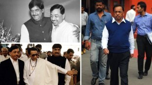 BJP MP Narayan Rane, Narayan Rane in Union Cabinet