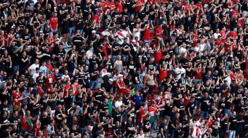 Scotland Fans In the Stadium