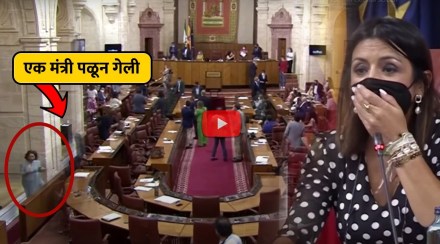Spain Parliament Rat Viral Video