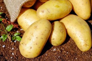Tricks to make potatoes last longer