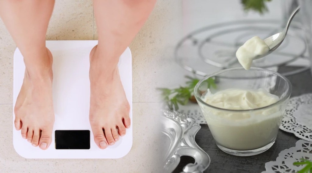 Lose your extra kilos by eating curd know these amazing benefits gst 97