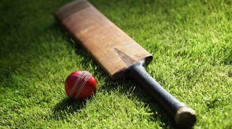मुश्ताक अली करंडक क्रिकेट स्पर्धा : विदर्भाचा सलग दुसरा विजय