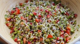 bowl of sprouts