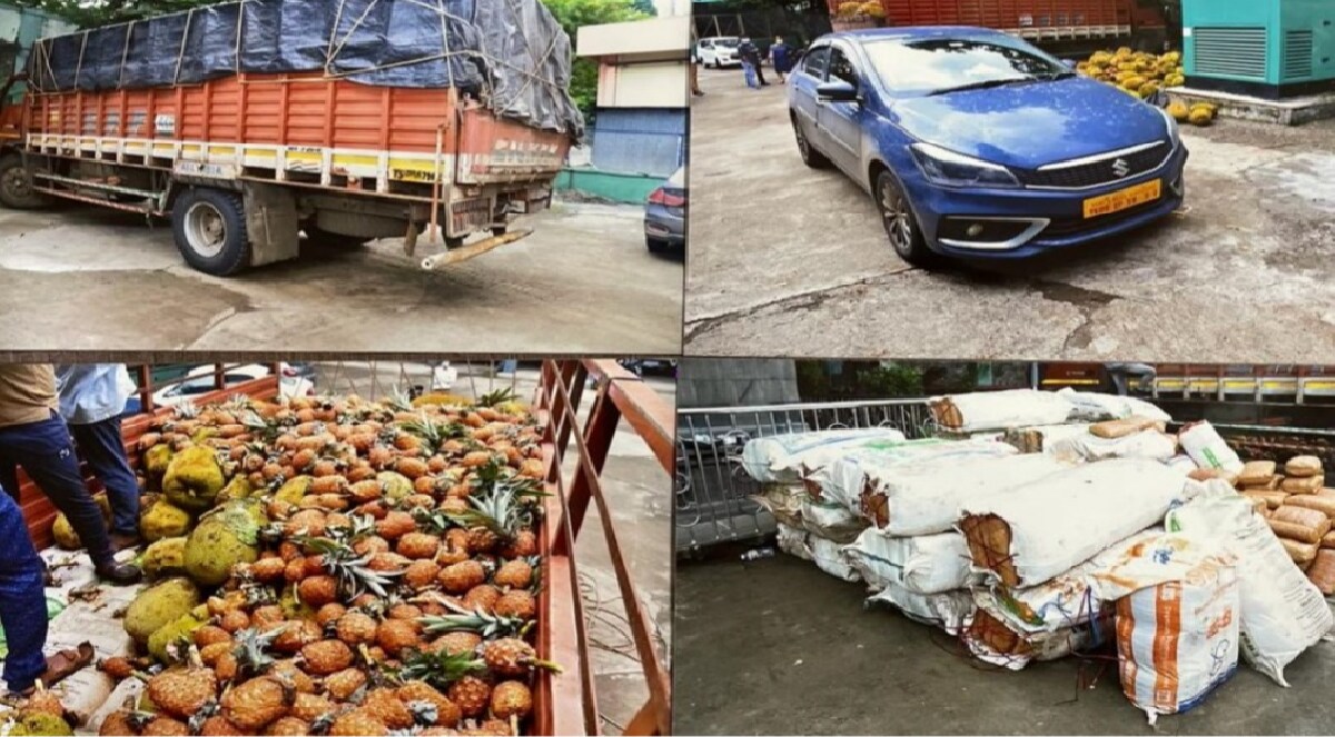 cannabis confiscated in pune