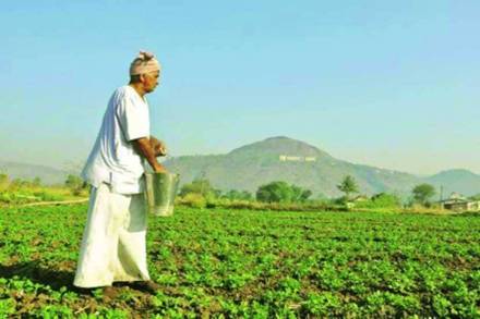 पीक विमा नुकसान भरपाईसाठी माजी आमदारांचा न्यायालयात जाण्याचा इशारा