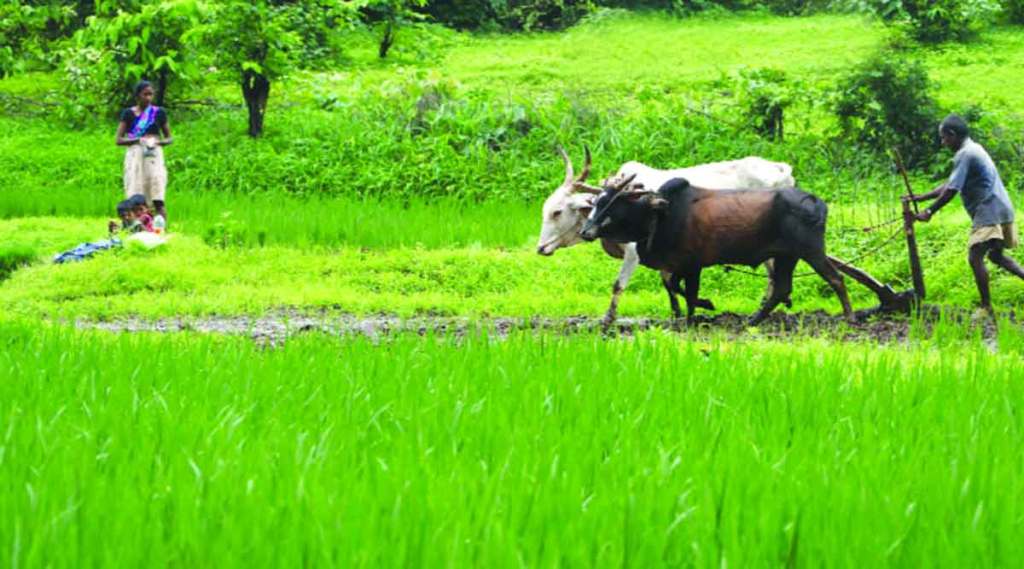 ग्रामीण भागात जमिनीच्या मालकीवरून होणारे वाद टळणार