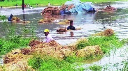 700 crore aid announced for flood hit farmers in Maharashtra Information of Union Agriculture Minister in Parliament