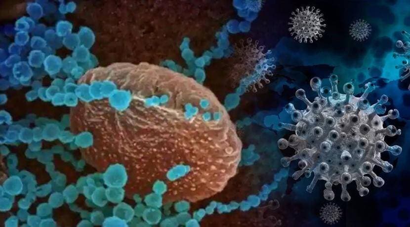 After Delta Plus now kappa variant 11 patients have been found in Rajasthan