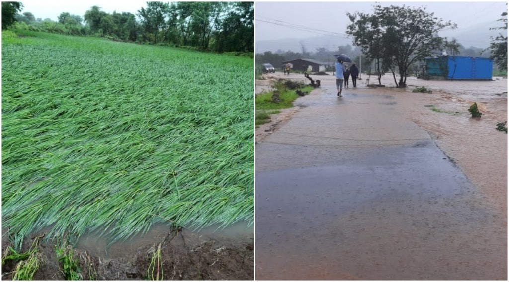 torrential rains in Maval