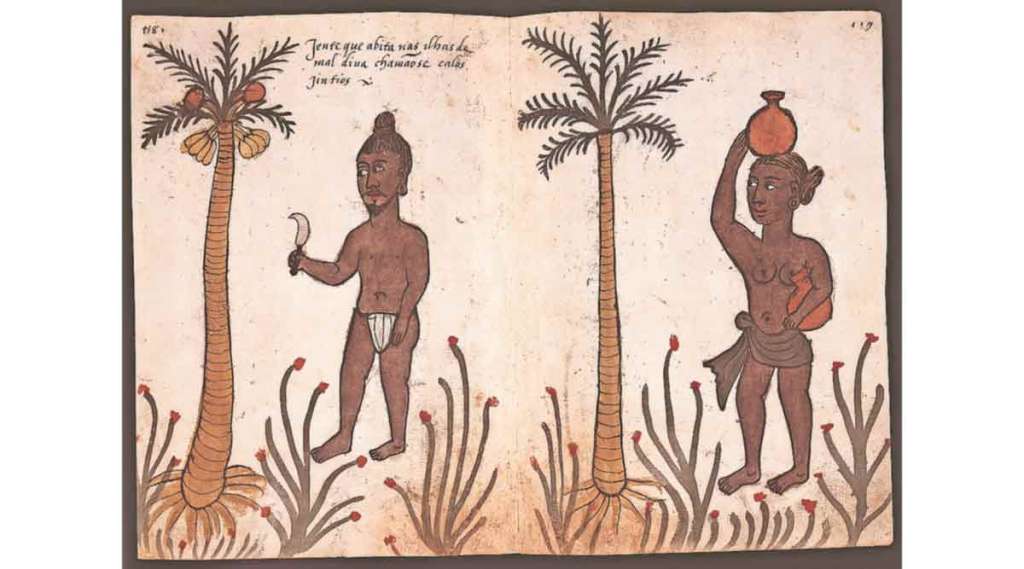 मालदीवमधील कष्टकऱ्यांचं हे चित्रण १६ व्या शतकातील पोर्तुगीज चित्रकारांनी केलेलं..