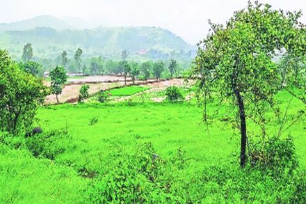अतिक्रमण हटवण्यासाठी आरेत यंत्रणा अपुरी