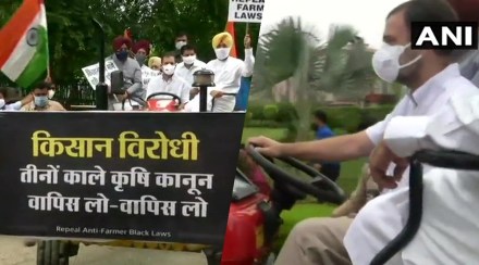Rahul Gandhi Drives Tractor, Rahul Gandhi
