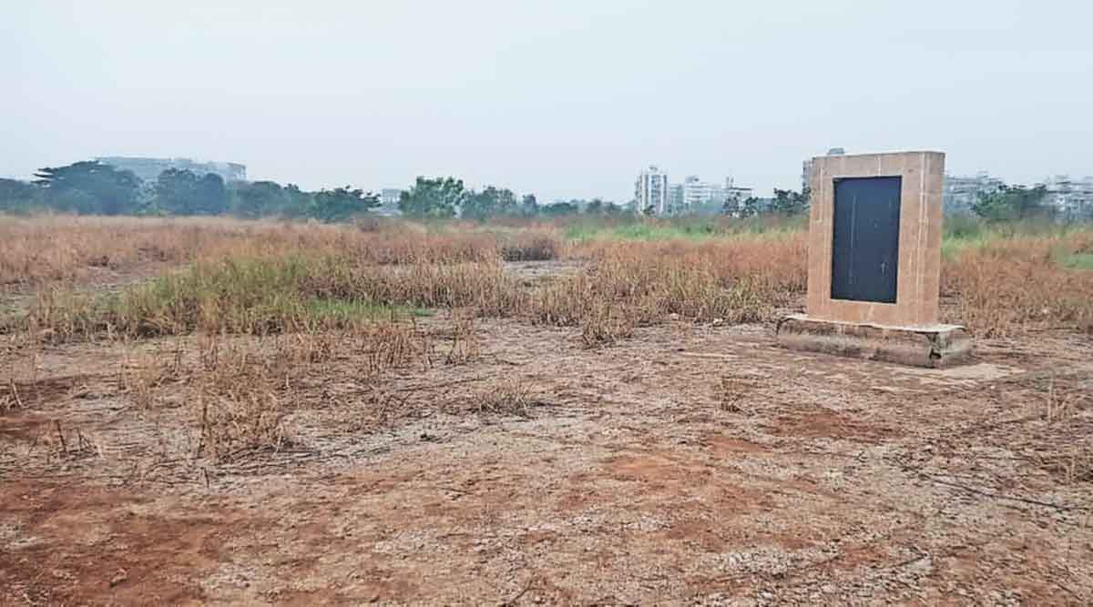 प्रस्तावित मुख्यालयाच्या जागेवर जंगल