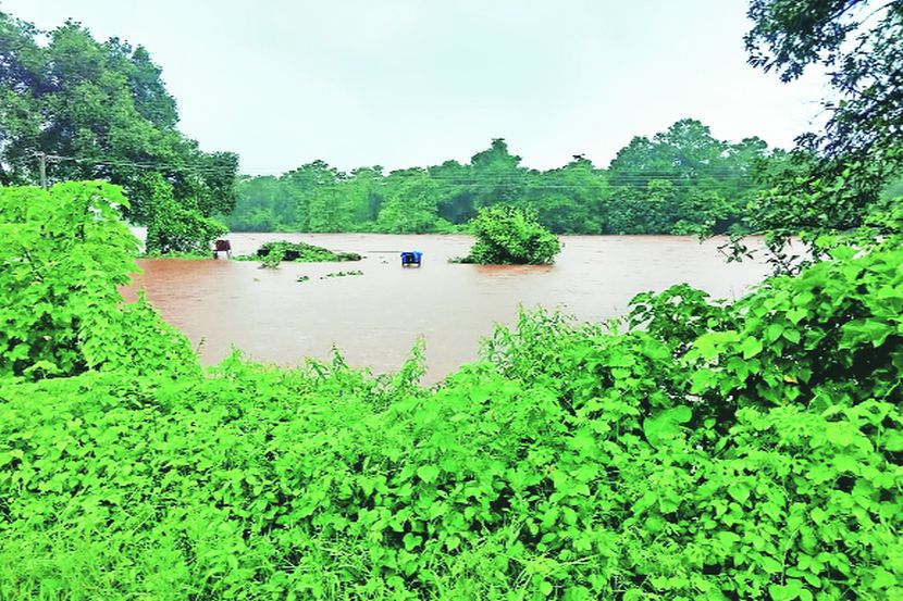 वाडा-जव्हारमध्ये पूरस्थिती