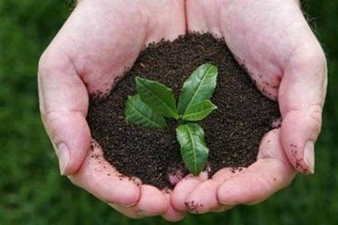 world conservation day