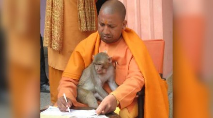 yogi adityanath with monkey social viral photo
