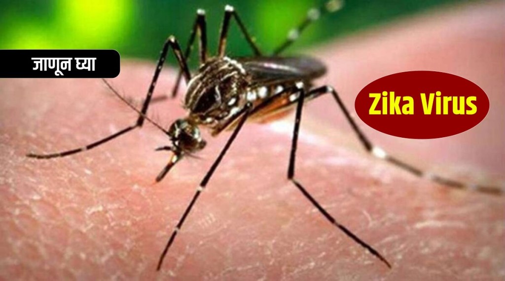 What is Zika Virus and how does it spread Learn the symptoms and the reasons for prevention