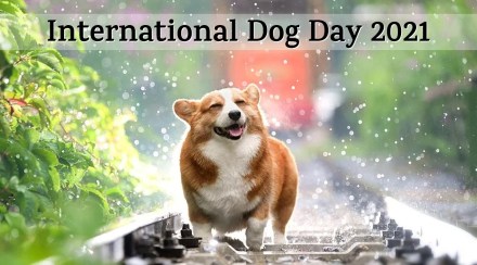 International Dog Day 2021