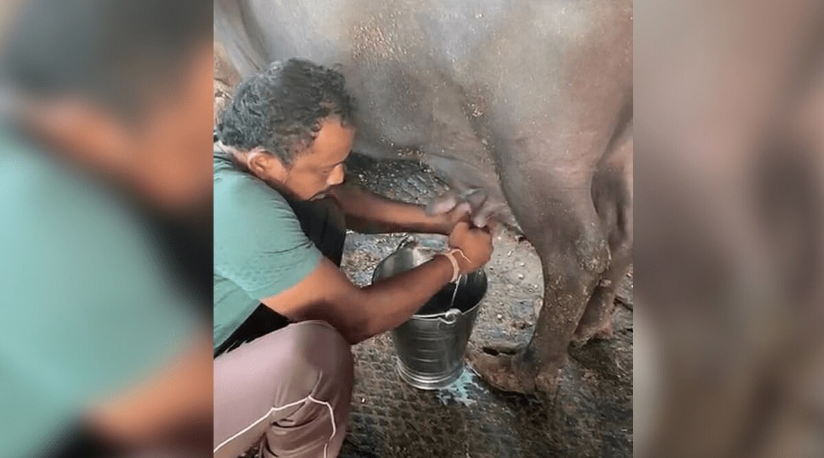 Milkman-Farm