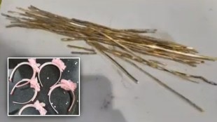 gold smuggled ladies hairband seized customs department gst 97
