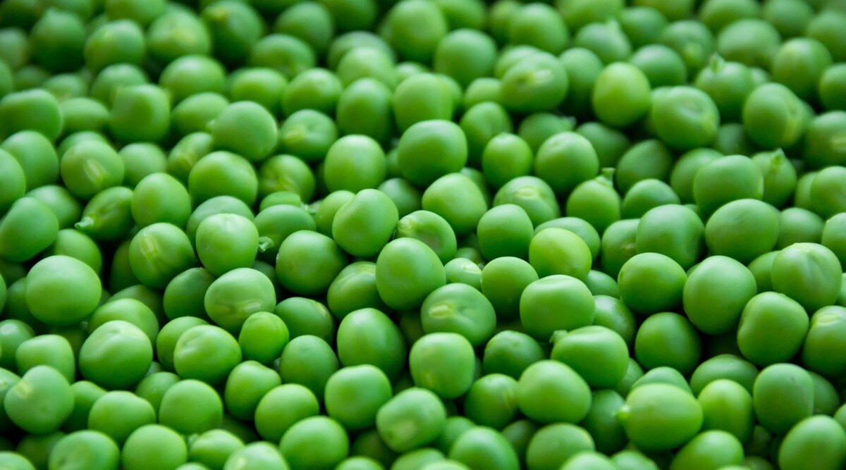 why-peas-should-be-part-of-your-diet-know-amazing-benefits-gst-97