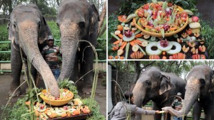 World Elephant Day Rajiv Gandhi Zoological Park Pune