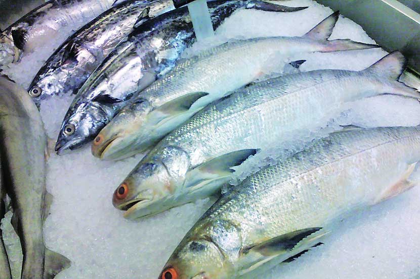 परवानाधारक मासे विक्रेत्यांचा मुक्काम वाढला