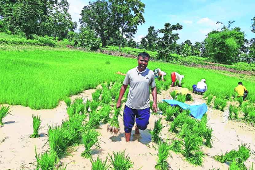 आमच्या पात्रतेचा उपयोग काय?