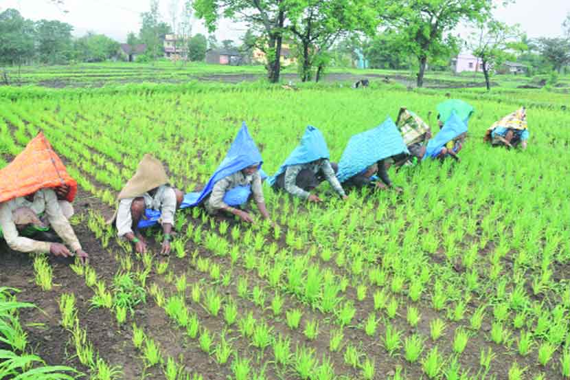 बनविहारी निंबकर यांच्या काही आठवणी…
