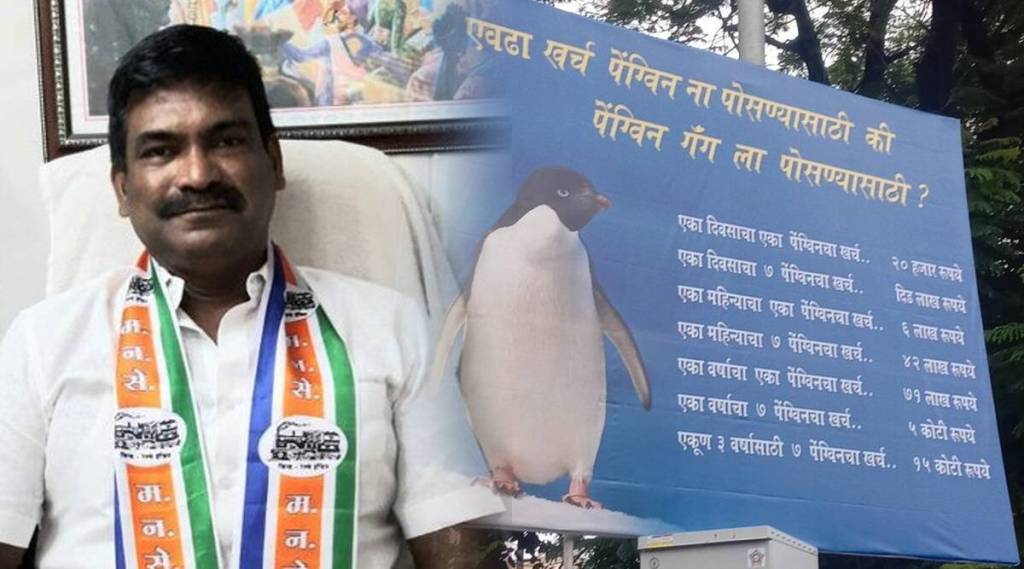खर्च पेंग्विनला पोसण्यासाठी की पेंग्विन गँगसाठी?; मनसेची मुंबईत पोस्टरबाजी