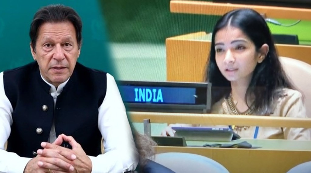 Sneha Dubey at UN