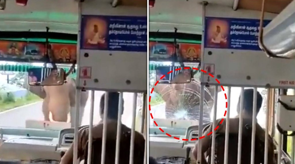 elephant attack on bus