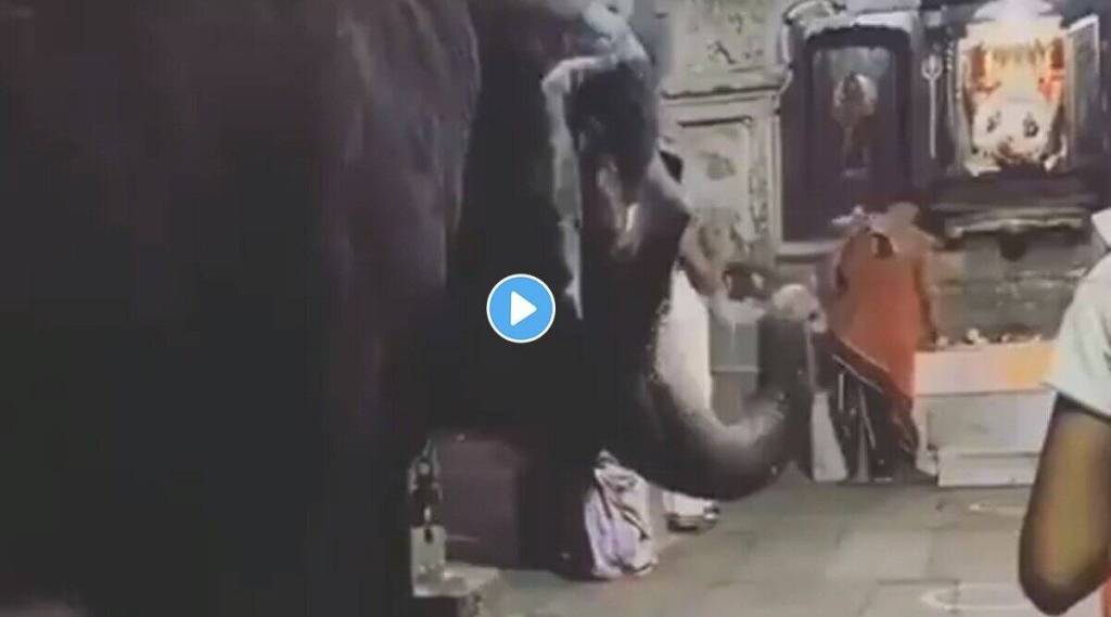 elephant-bowing-head-in-lord-ganesha-temple