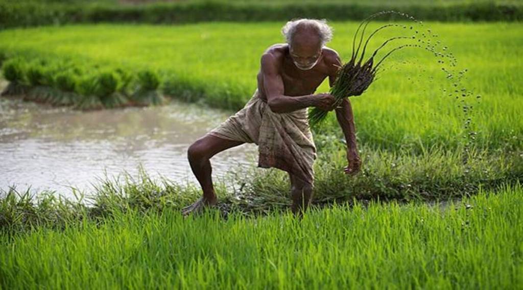 PM KISAN चा हप्ता मिळाला नाही? ‘हे’ कारण असू शकतं, वाचा दुरुस्ती कशी कराल?