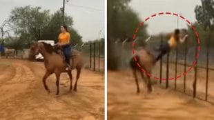 girl-collapsed-during-horse-riding-video