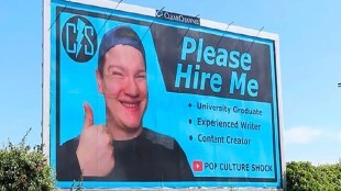 hire me plz boards